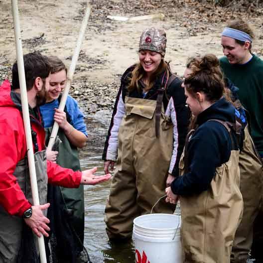 Students examining fish in a creek with Dr. Terrence Malloy in Biology class